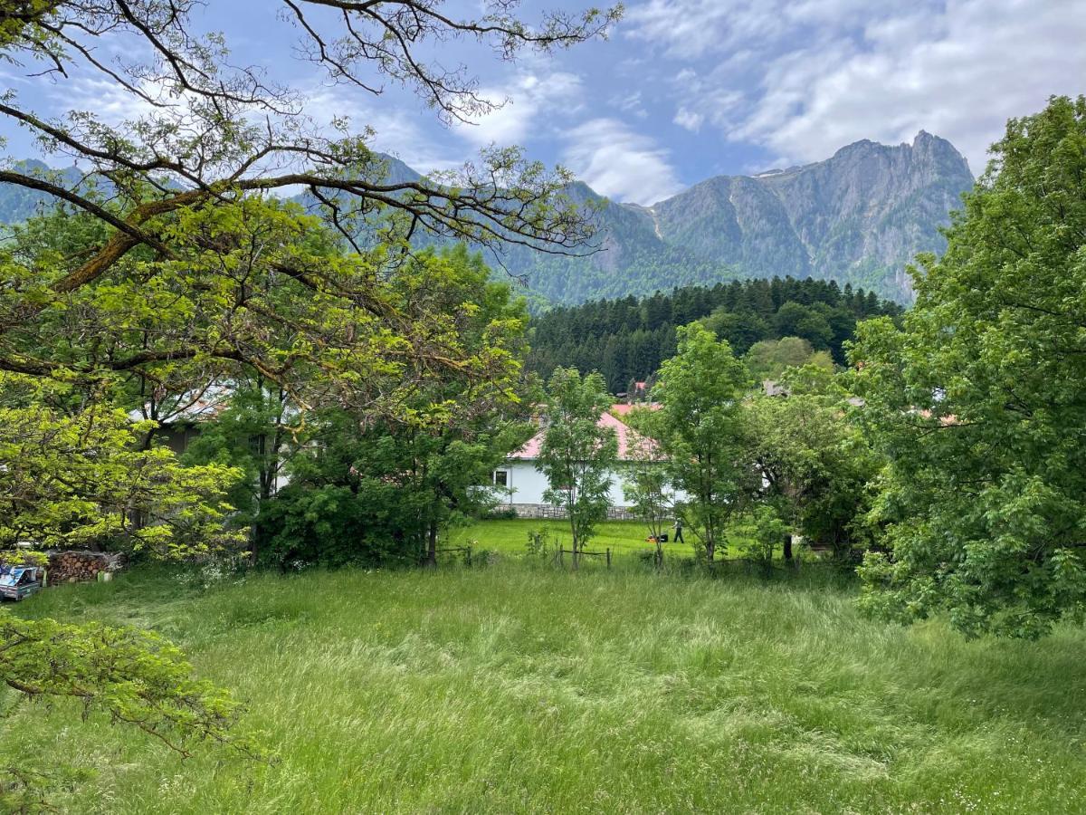 Villa Forrest