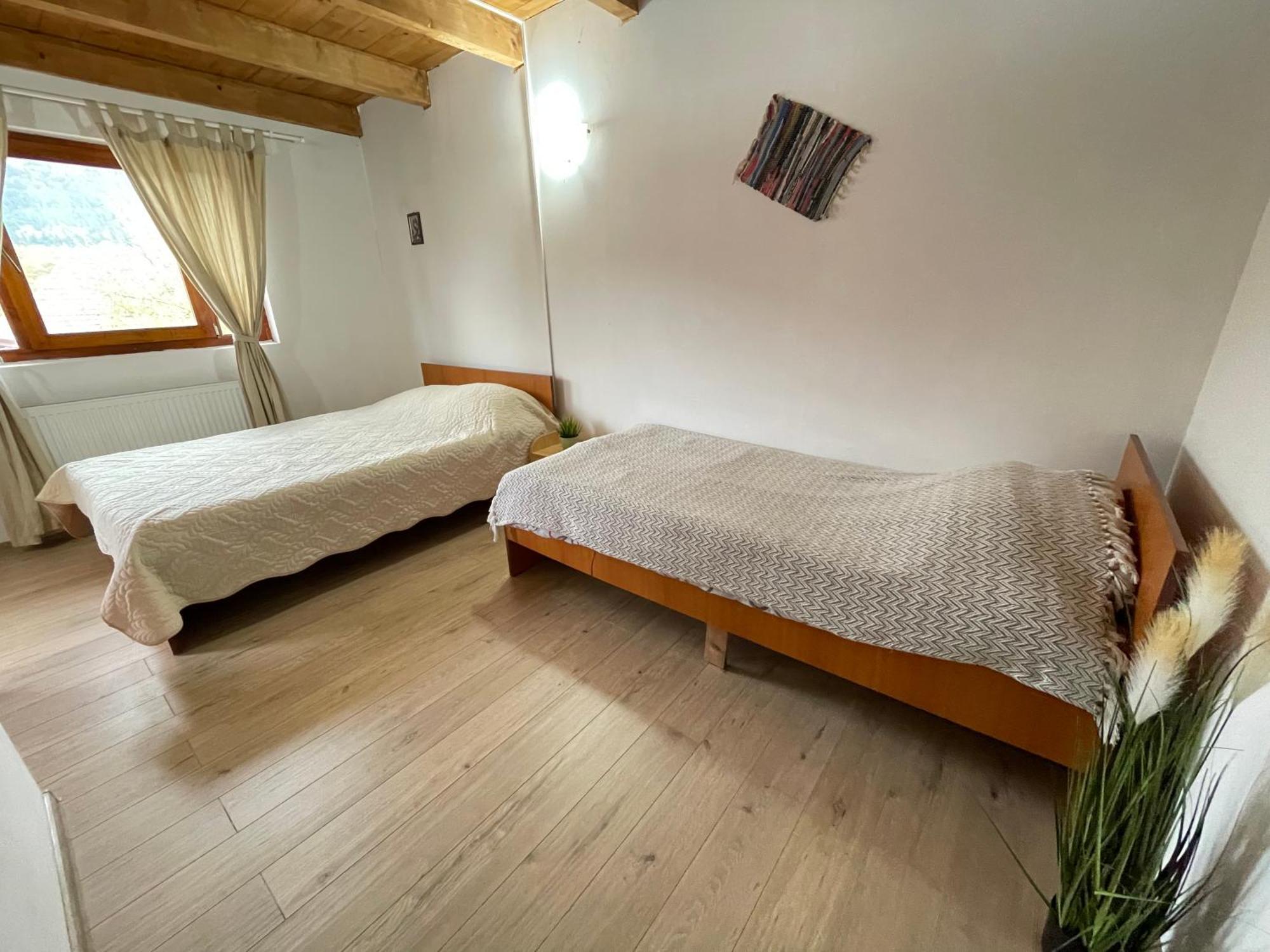 Forrest Villa Busteni